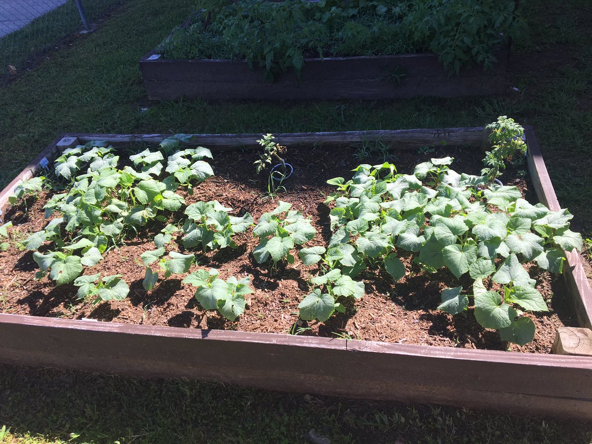 Linda Valentino tweet media