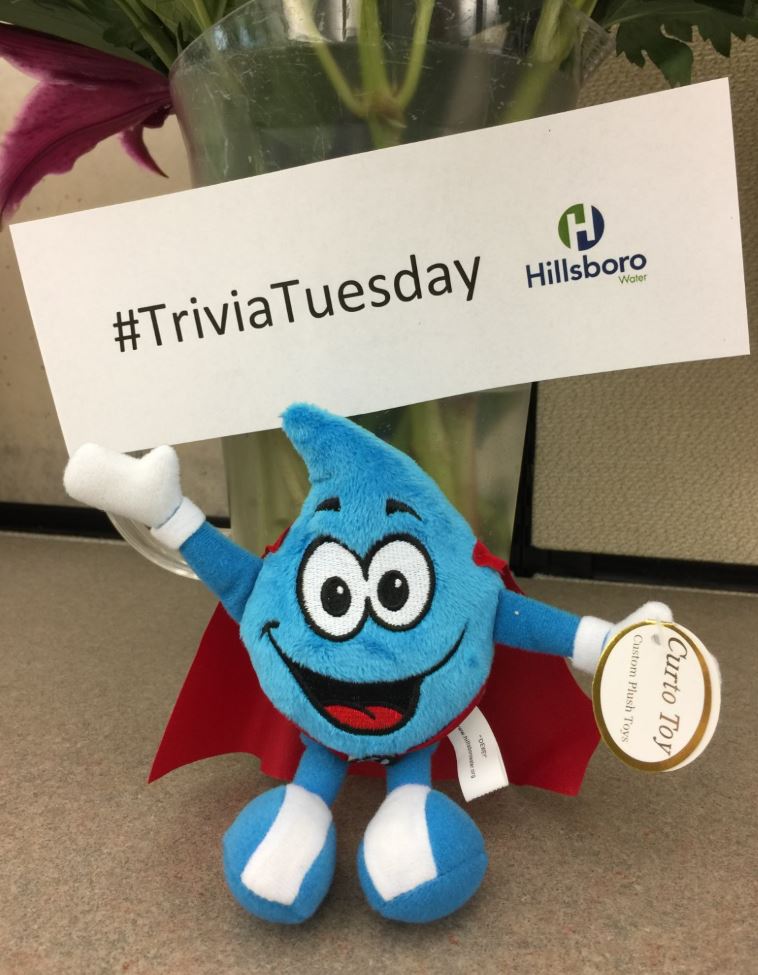 HillsboroWater's tweet image. #TriviaTuesday How many large water pipelines deliver clean &amp;amp; safe H2O to @CityOfHillsboro customers? #TriviaTuesday  #FirstRightAnswerWins