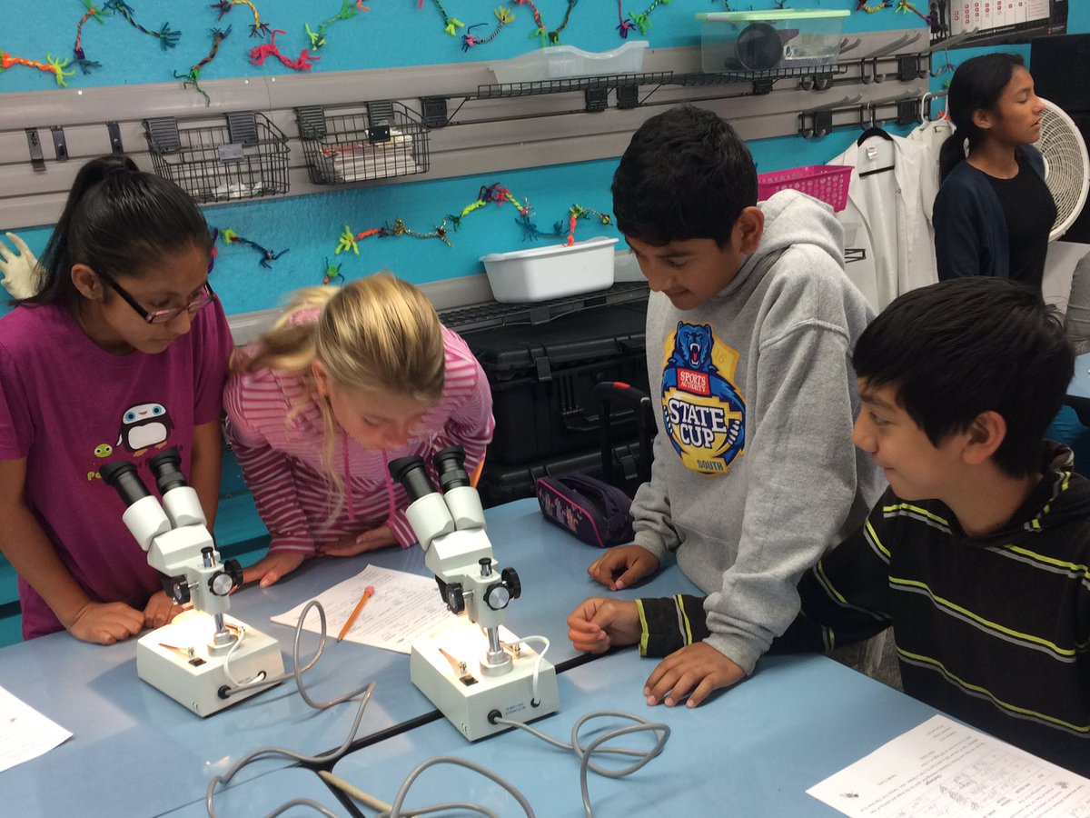 Young scientist at work today at Innovation Middle School- SALK mobile lab visits for three days to enrich our Ss.