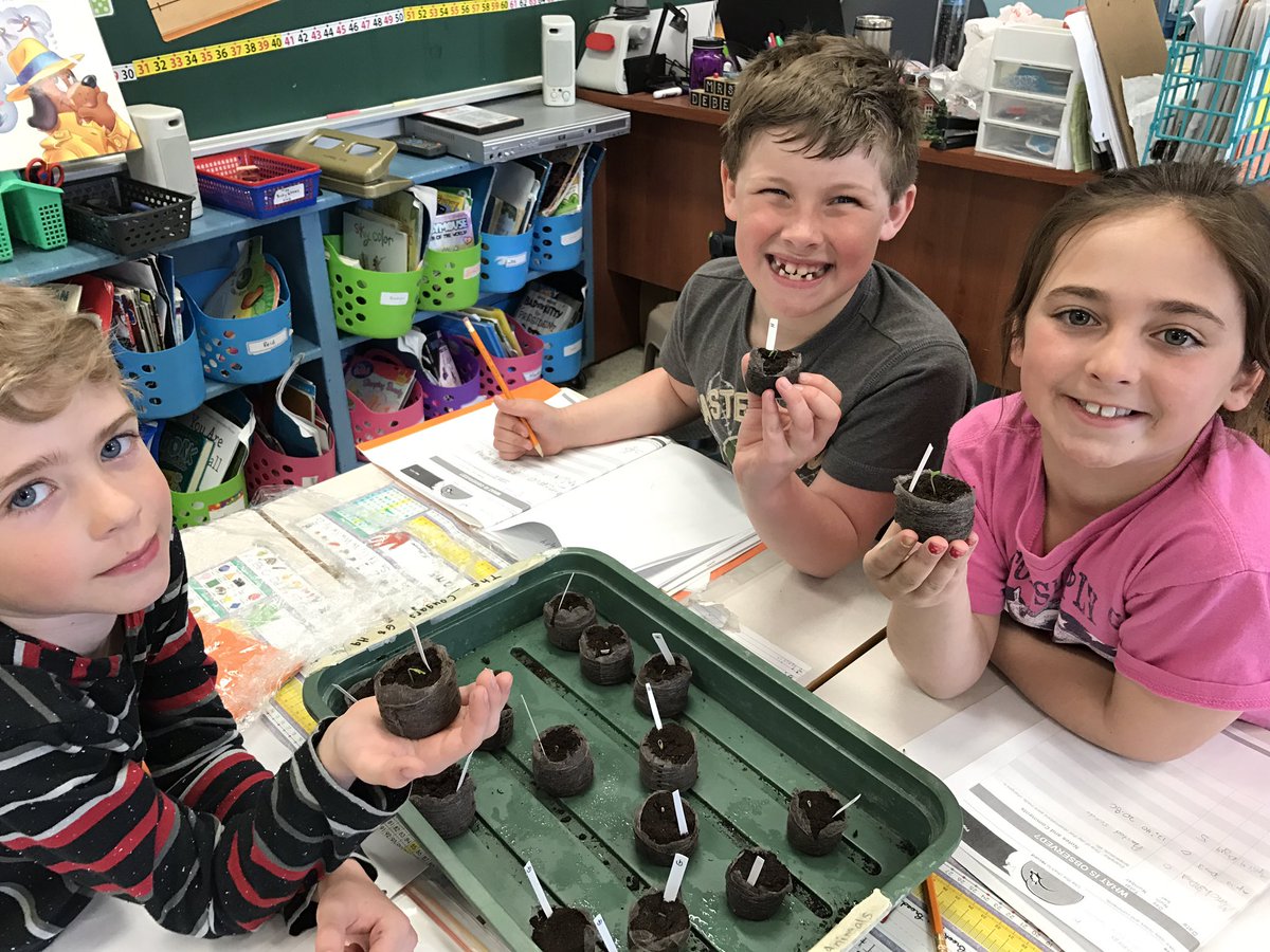 mrsdebertin's tweet photo. @Tomatosphere @LetsTalkScience Day 4 & we have some germination! #Grade2scientists Great discussions on what to record for observations. 🌱🔍 https://t.co/QEDKRZpUbr