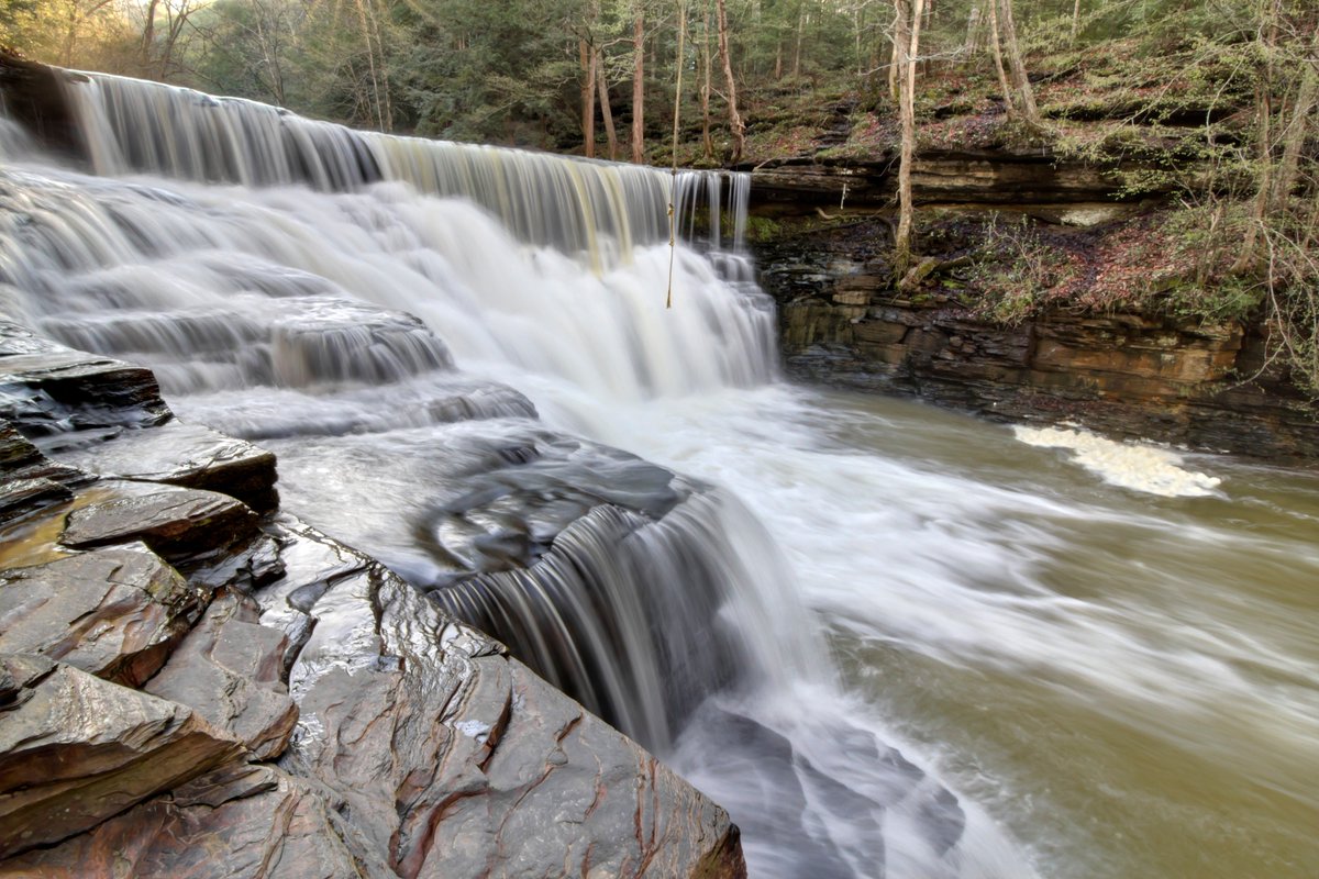 VisitCookeville's tweet photo. Celebrating State Natural Areas Week w/ dedication this Friday of TN's newest: #WindowCliffs - https://t.co/OJlkjaLqUM
๐ธ: @SutherlandChuck https://t.co/usFJi75SoP