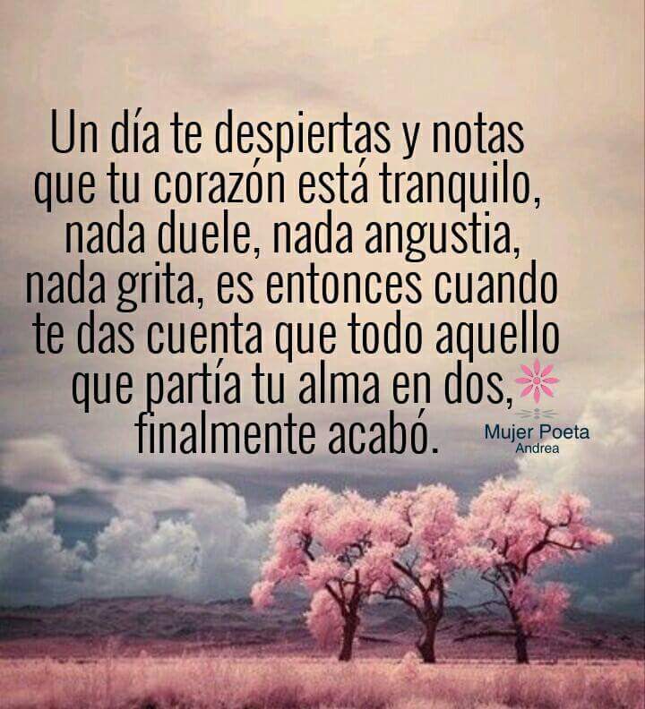 ViridiannaTG's tweet photo. Cuando tu corazón esta tranquilo, es porque has podido superar las adversidades 💜 @karlaSolisluna @sheilaflores  @seleneacostax @CindyMald https://t.co/upzqPIr3vB