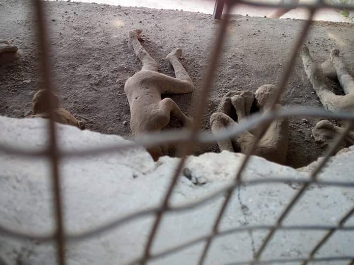 LAROBY68's tweet photo. Pompei,  orto dei fuggiaschi https://t.co/Gycflxe7fA