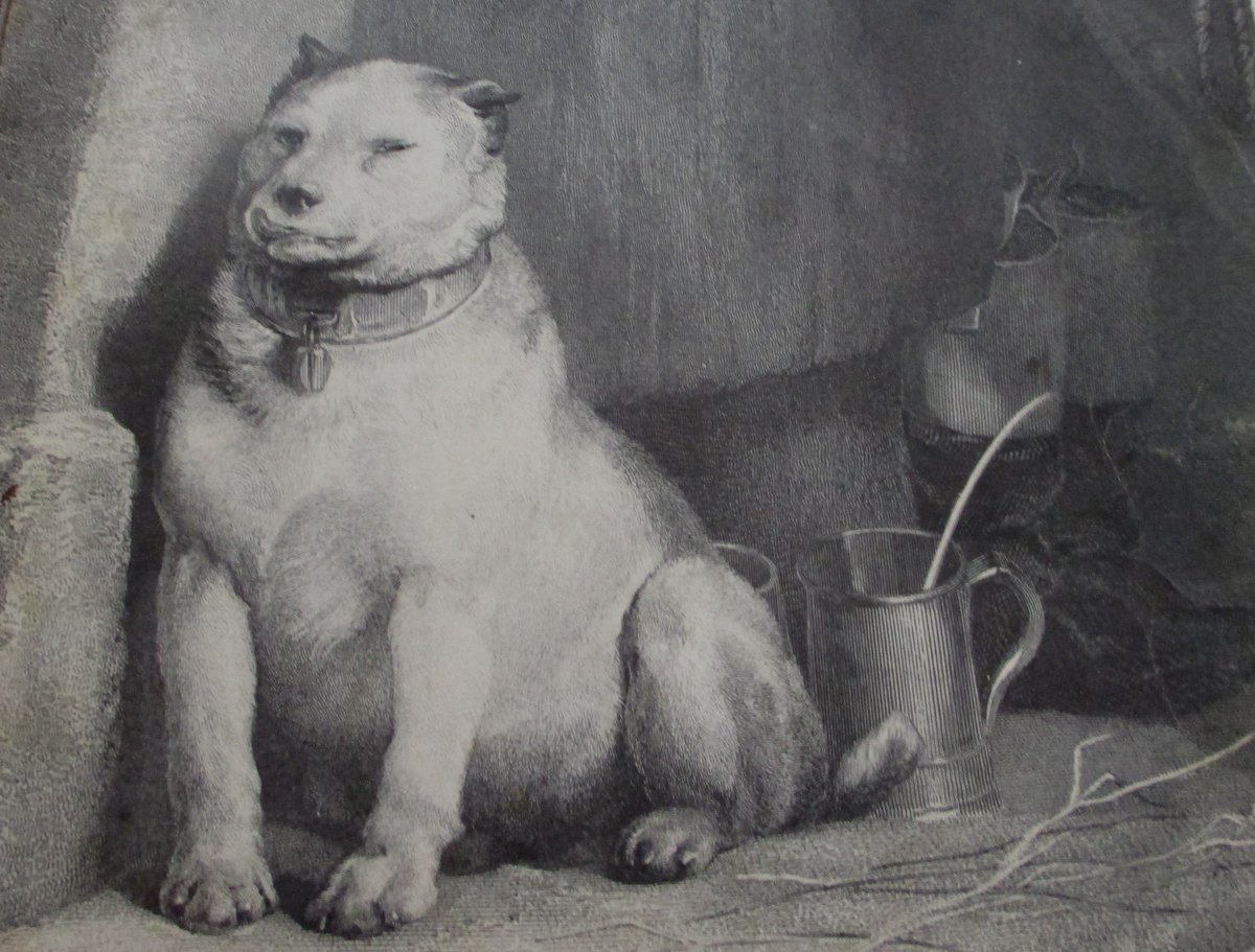 AlphaMoog's tweet image. PAVLOV'S DOG: 
Once and future kings♫ 1975
bit.ly/2nTUqRc  #MoogDrop