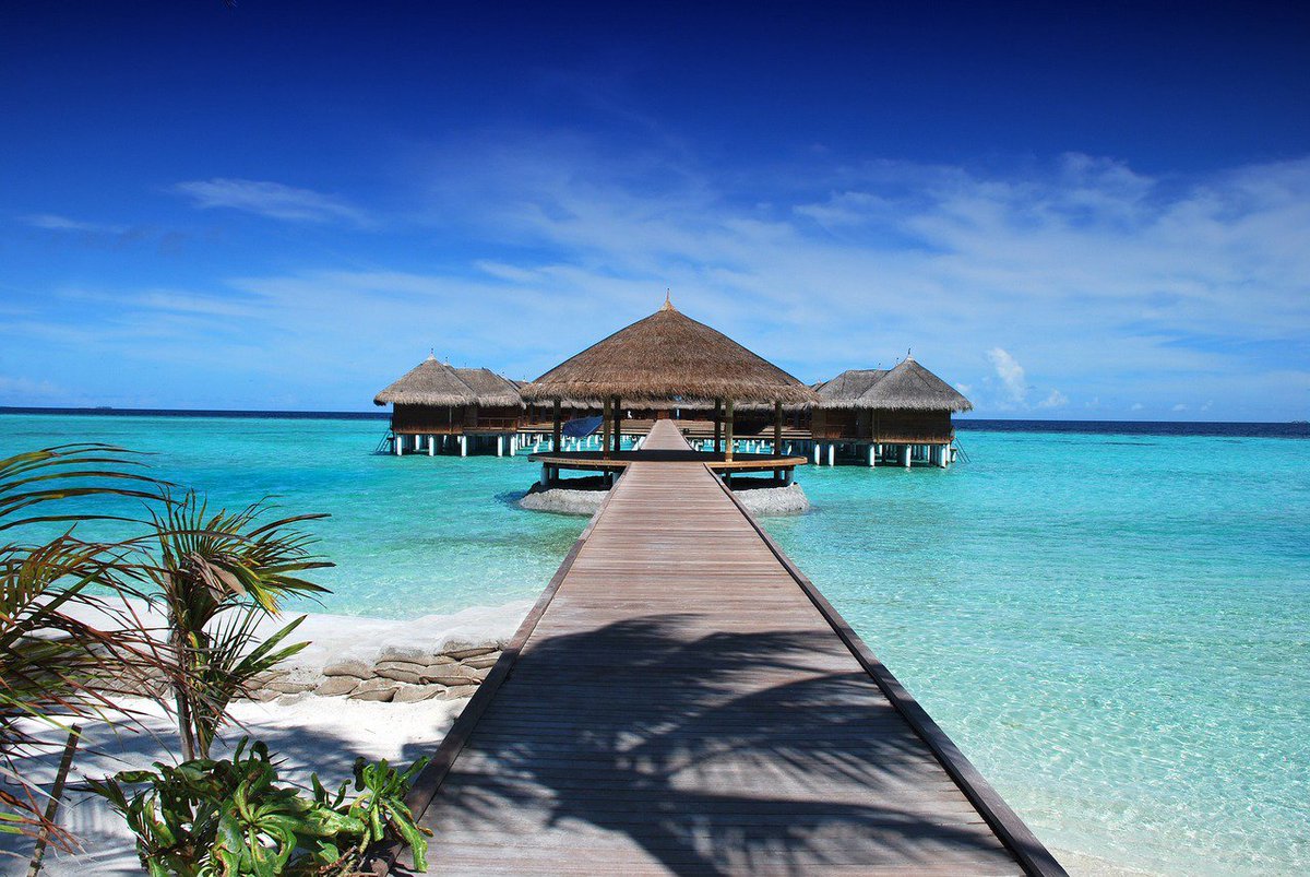 pricelessdates's tweet photo. Why You Should Have Baecation Goals https://t.co/OxJ1tCLhHi #pricelessdates #traveltuesday #travelnoire #travelblogger #blogshare https://t.co/HZHGlkFTRh