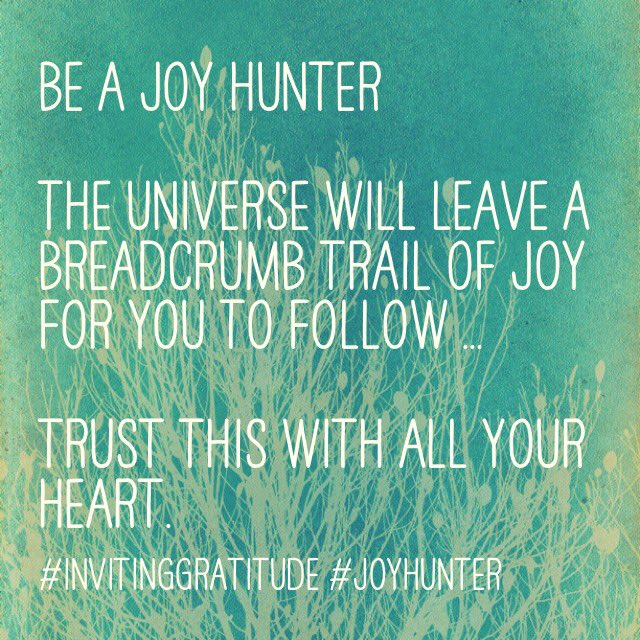 Do you trust your joy? ... you should 😁this isn't narcissism this is #innerpower your joy is your JOB  ❤️#joyhunter #beherenow #innerguru