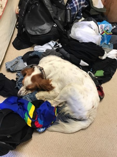 Drivin’ Through the Desert stevetilford.com/2017/04/04/dri…