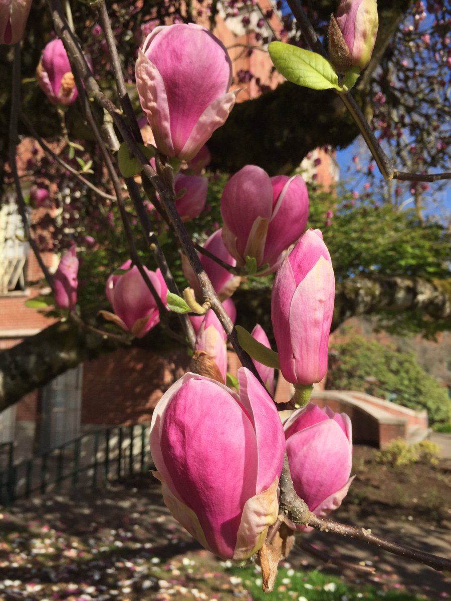 CallMeADuck's tweet photo. Gotta love UO Spring. https://t.co/FUILHWsk8Z