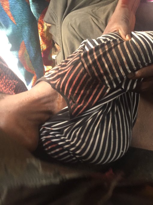 View image on Twitter