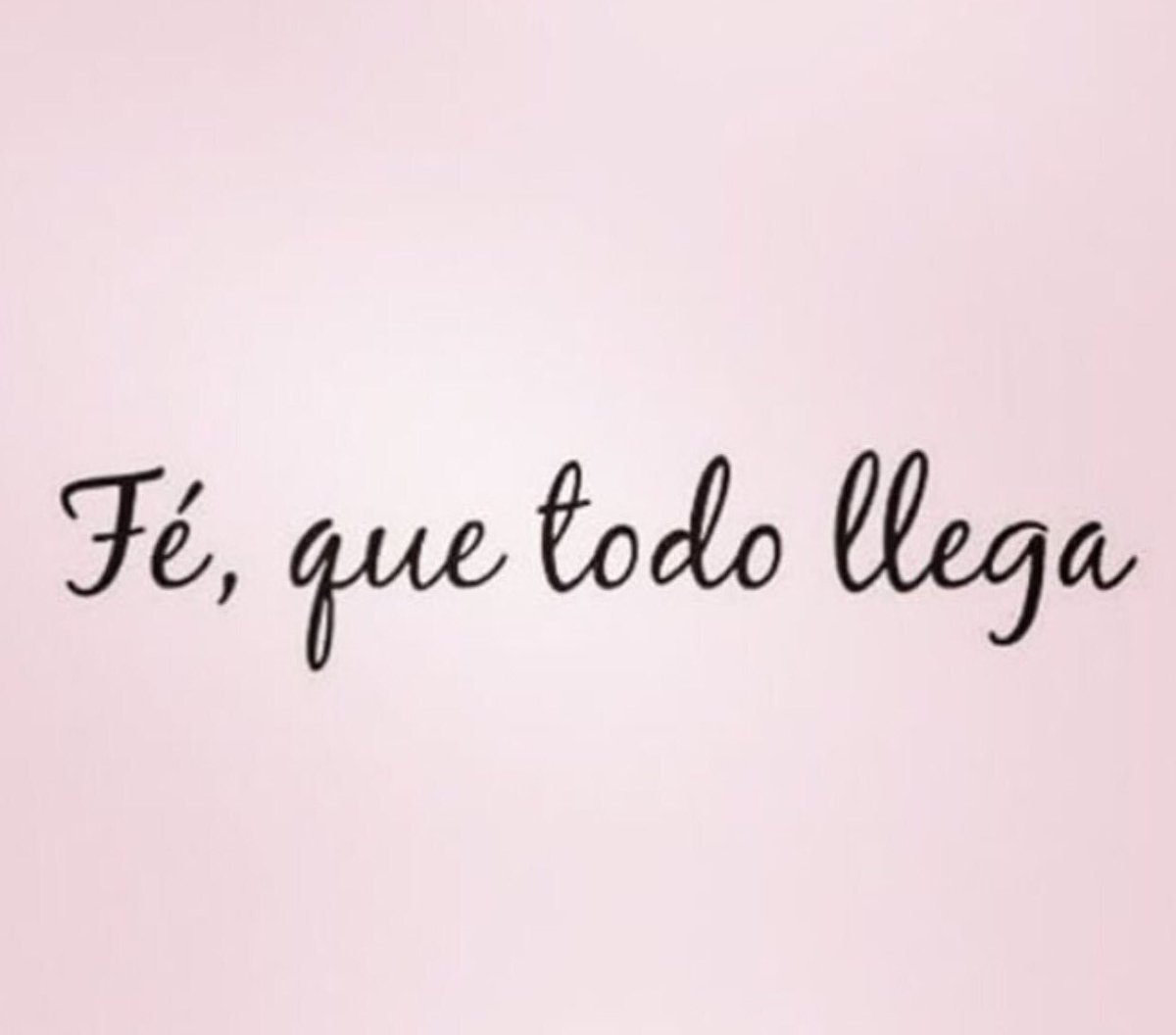 Arianna Torres tweet media