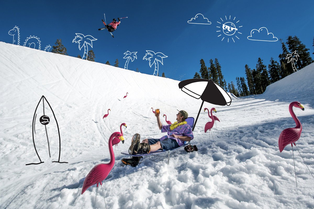 Cheers to goggle tans + Aloha vibes this spring at #SierraAtCabo! | #CertifiedUnserious | Beachbums: <a href="/alecbowman1/">alec bowman</a> <a href="/ROYCEPHOTOGS/">Eric Royce</a> 📷: @_BWPhoto