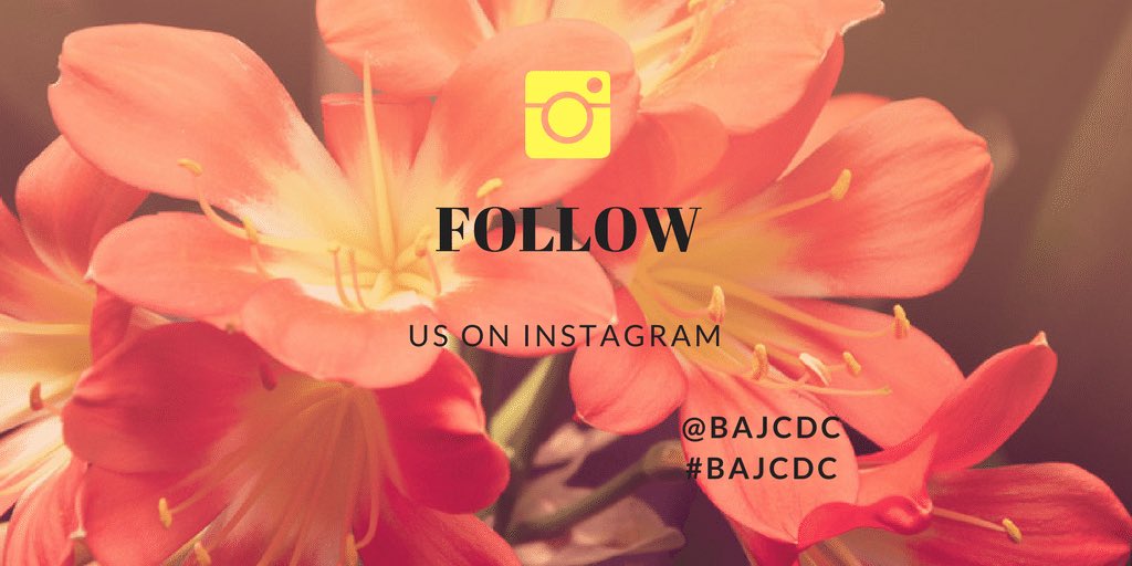 BAJCDC's tweet photo. Follow us! @BAJCDC #nonprofit #nonprofitorganization #bajcdc https://t.co/MMTOinS5zh