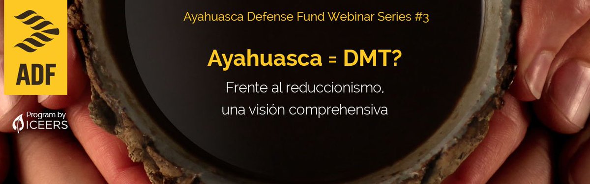 Chacruna Latinoamérica tweet media