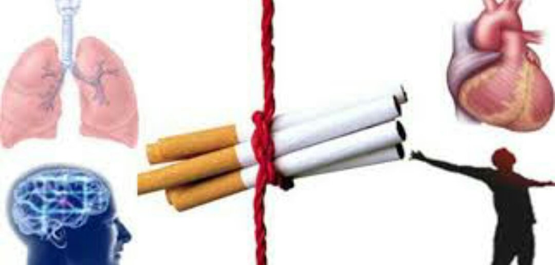 I_Nooralias_2's tweet photo. حان موعد الاقلاع عن التدخين 🚭 
#حملة بطلت _وزارة الصحة_مركز الهوية https://t.co/6dl8Bjzejb