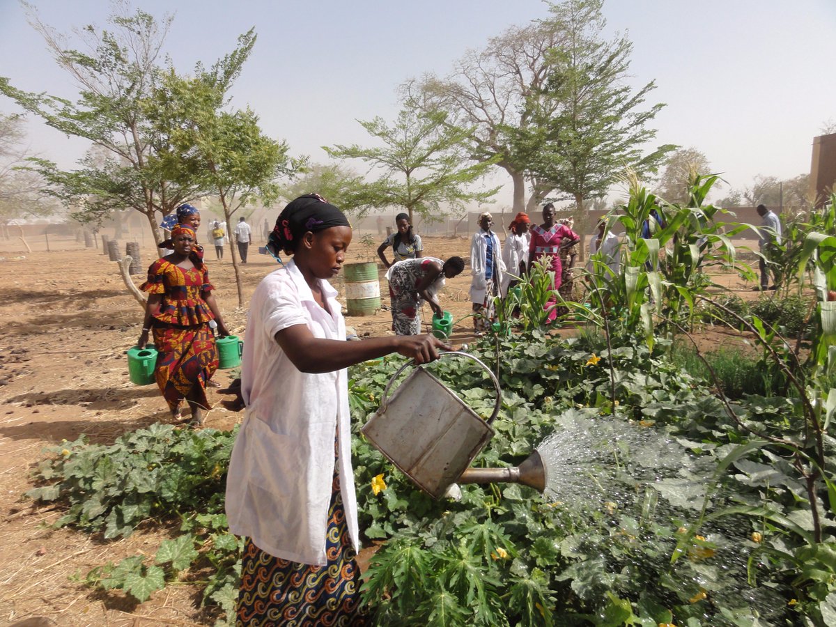 Fondation_PGL's tweet photo. Découvrez notre Projet d’insertion durable des diplômés du secteur agropastoral (IDDA), financé par @DevCanada! https://t.co/WwLlbluR9N https://t.co/UwyQXxkJM6
