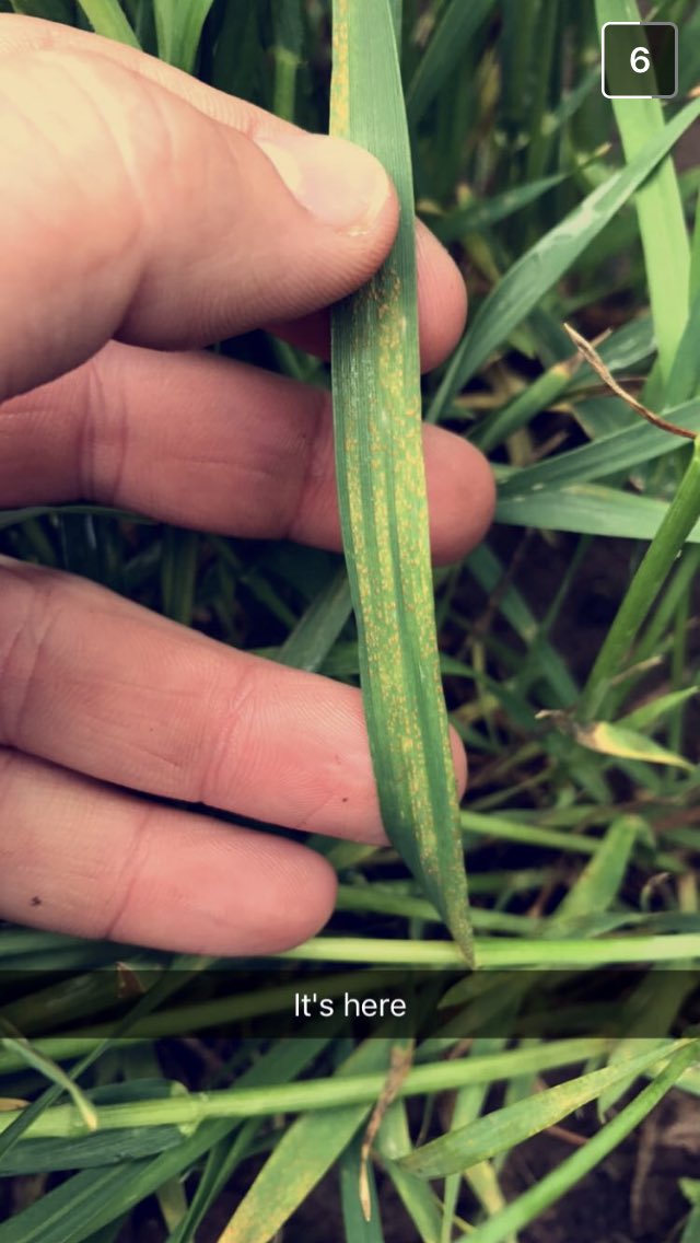 Crop Trak tweet media