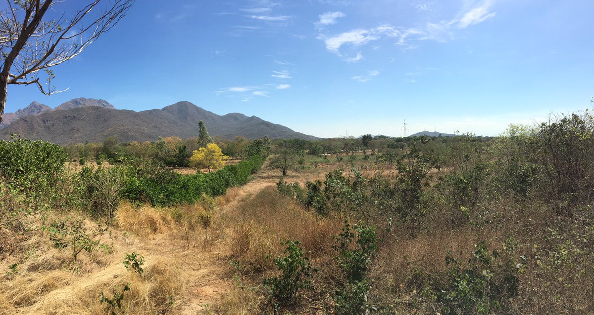 PrismarqD's tweet photo. Así va la construcción de Sierra Bella, un proyecto eco turístico que estará ubicado en Valledupar, Colombia. https://t.co/RRPX0xtEis