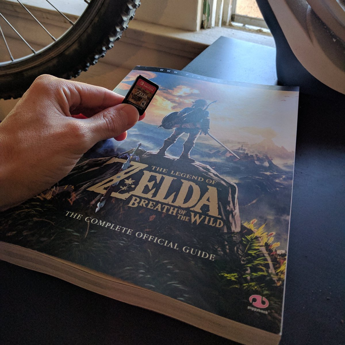 Tbone_UNLMTD's tweet photo. I need this much help for this tiny game. #zelda #BreathOfTheWild #botw #nintendoswitch #nintendo https://t.co/mEzNPVwSVb