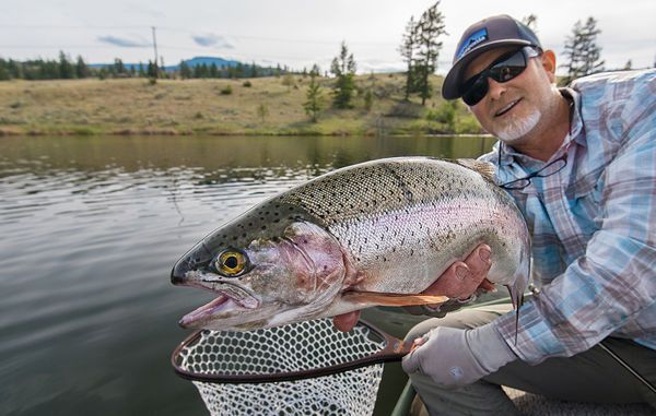 Chironomid Midge: The Tiny Secret to Catching Colossal Trout buff.ly/2nfaiwJ #trout #fishing #outdoors #angler