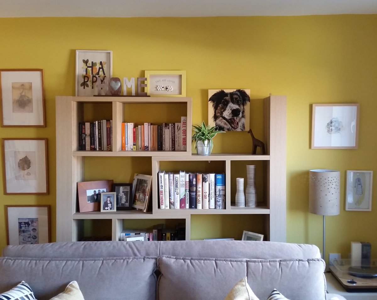 Always great to see commissions in their new home #petportrait #bordercollie