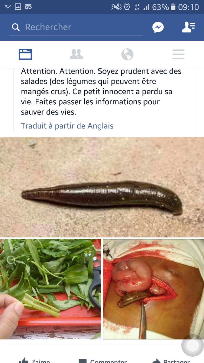 ControleLa's tweet image. Attention à la salade.