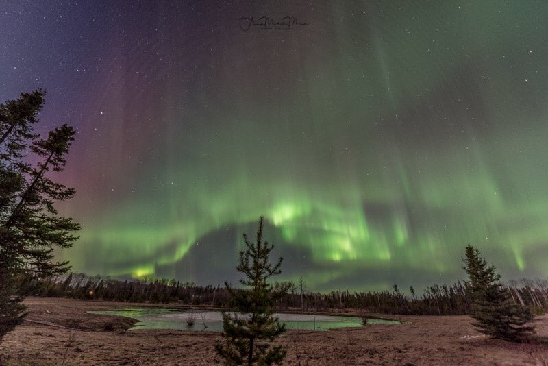FishNorthernBC's tweet photo. RT @mccuemichele: Wild Skies! Apr4th Central BC. #travelnorthernbc #explorebc @CityofPG  #northernlights https://t.co/AuGN7JQePj