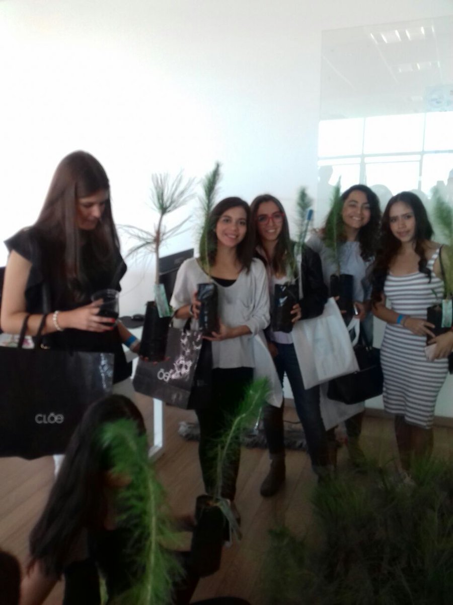 forestaljalisco's tweet photo. "Hoy es un buen día para plantar un árbol" #OpenMind2017 #AbreTuMenteALaInnovación #ClusterForestal https://t.co/CrbXpBKGbG