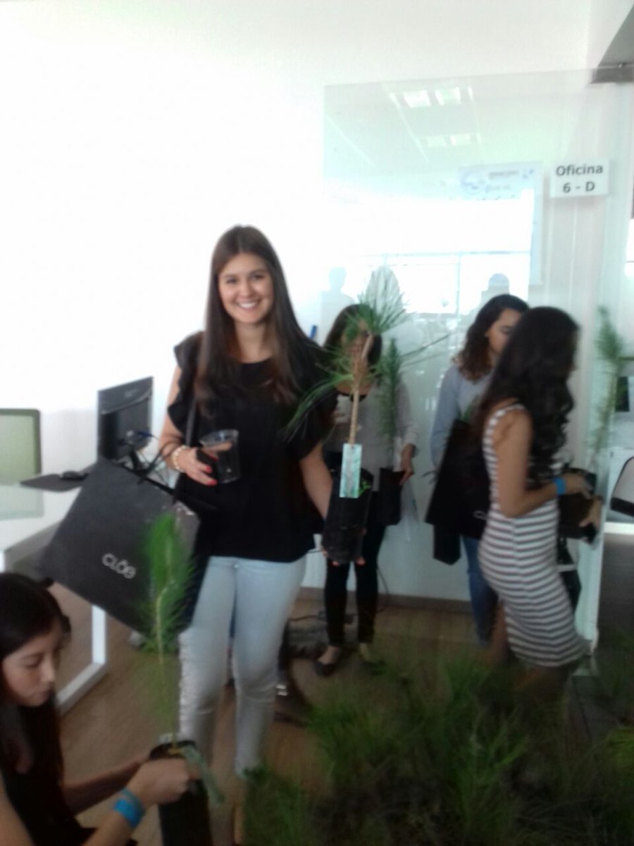 forestaljalisco's tweet photo. "Hoy es un buen día para plantar un árbol" #OpenMind2017 #AbreTuMenteALaInnovación #ClusterForestal https://t.co/CrbXpBKGbG