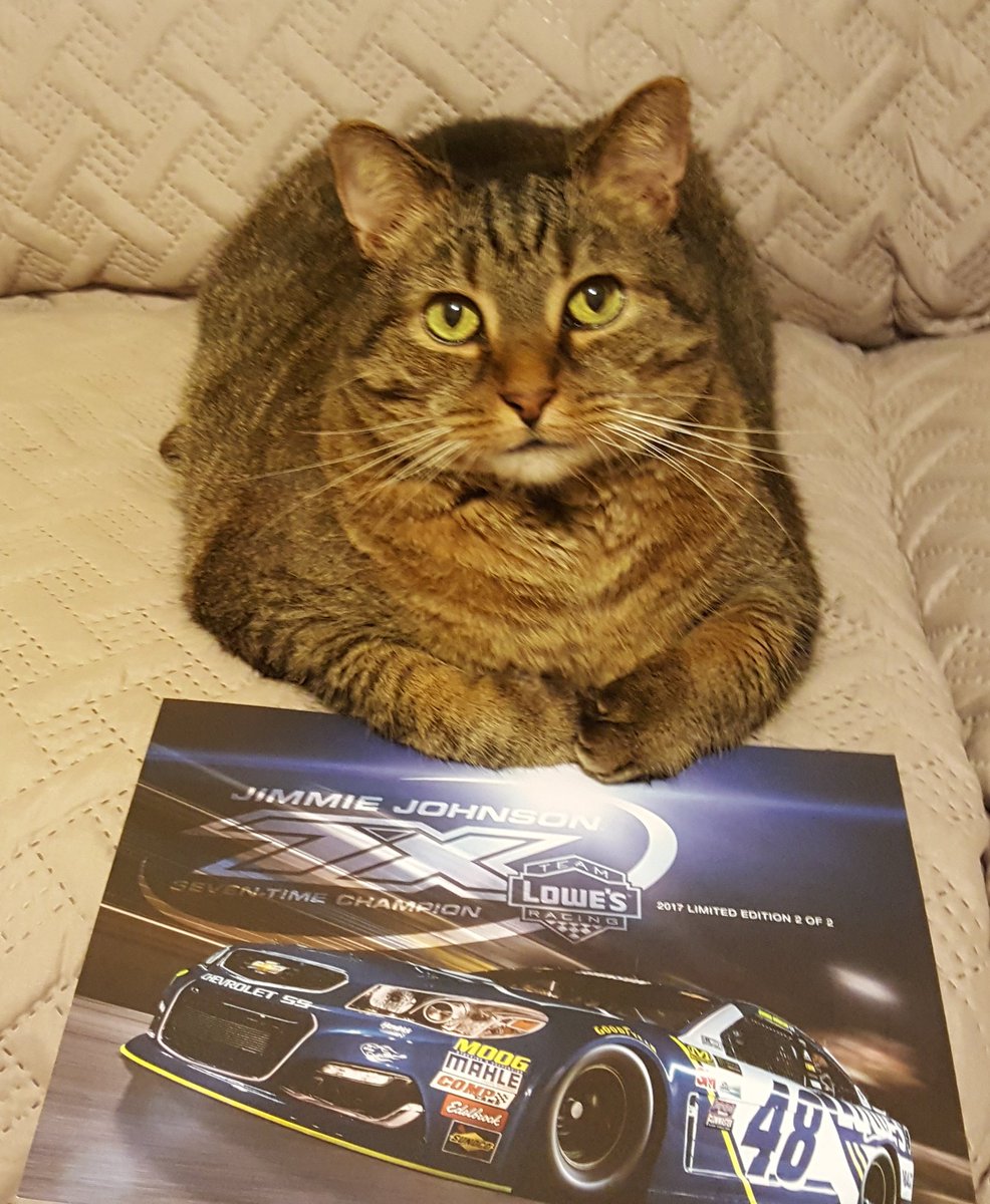 ChaddyKlett's tweet photo. 😹😻 very serious @KlubKnaus @BHJ48 https://t.co/kTLTCJAO0Y