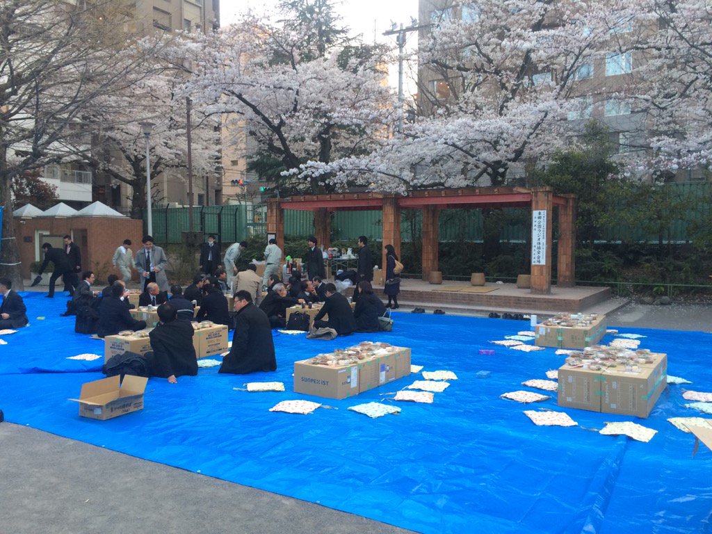 What a good idea for Team Building : a Sakura Picnic. Outside, after work, low cost on venue but not on alcohol !
