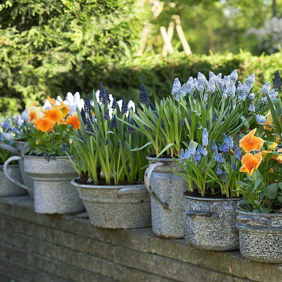 vcreekgarden's tweet photo. Kitchen Containers ... - https://t.co/MKuPaWyIpq
#ContainerGardening #KitchenContainer #Planter #Repurposed https://t.co/9iHhp5dvht