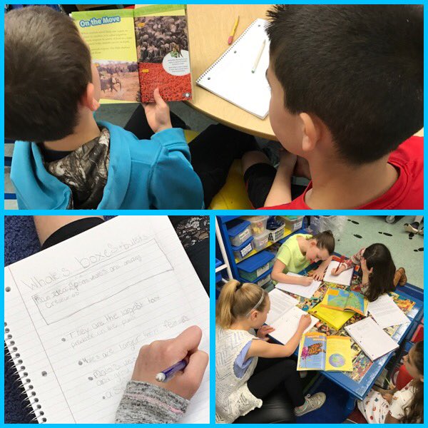 #MVSRoom21 nonfiction readers using boxes and bullets to identify main idea and supporting details.