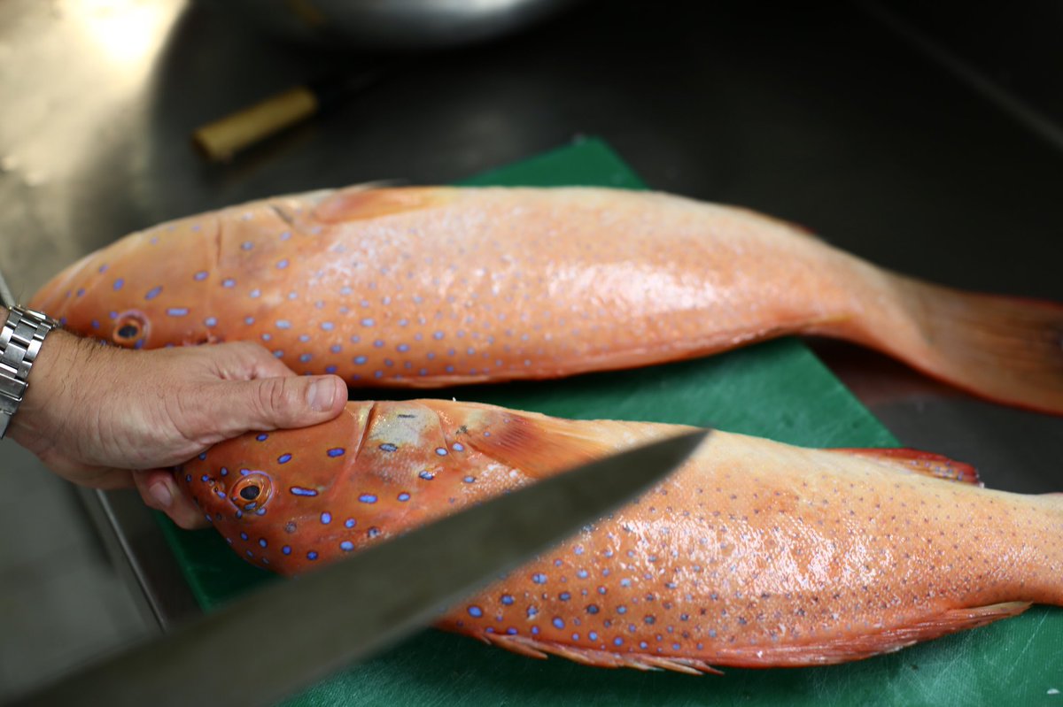 WA coral trout for <a href="/theworlds50best/">The World's 50 Best</a>. Tonight, Australia's finest produce will take centre stage alongside the world's greatest chefs!