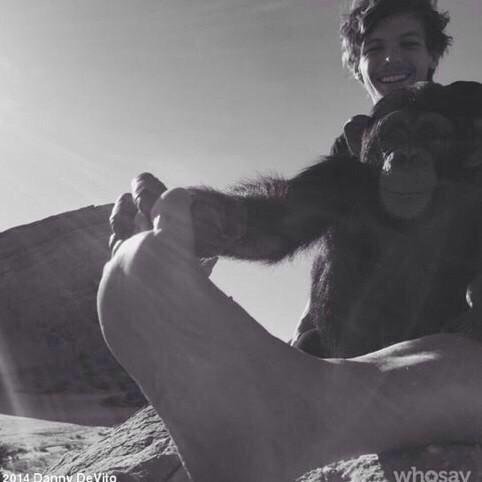 laretrevarrow's tweet image. louis te amo demais q chega ate doer mas eu quero continua sentindo essa dor