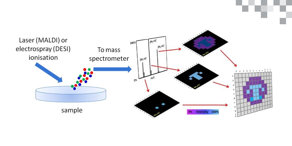 WatersCorp's tweet photo. Do you see what we see? Mass spectrometry imaging, #MSimaging, reveals molecular insights in #cancerresearch https://t.co/gSTbAQEheH #AACR17 https://t.co/83DbBrAY4s
