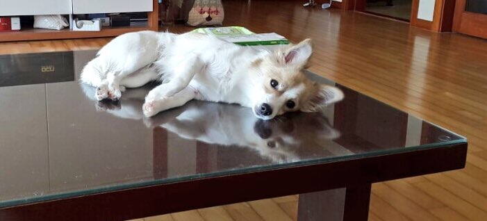 DEAR_MONG's tweet photo. 복옷잎다 😂 https://t.co/ix1nwRvkME