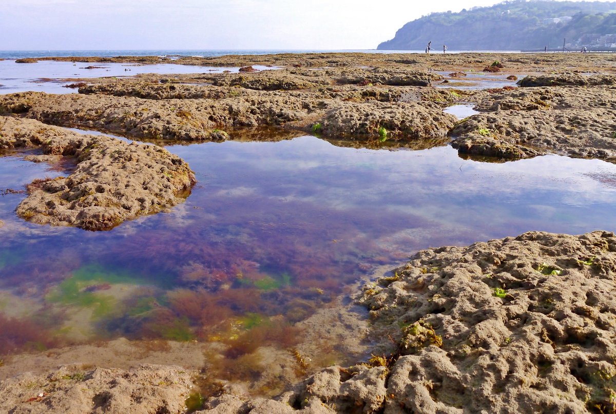 The rockpools are amazing....
#rockpools #beach #IsleofWight #shanklin #holiday