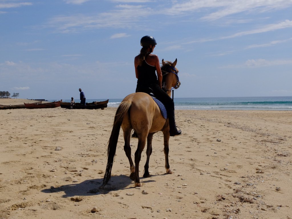 Stop #traveling, start #exploring #Mozambique, with our horses! This is a very unique experience! Diamonds Mequfi Beach Resort
