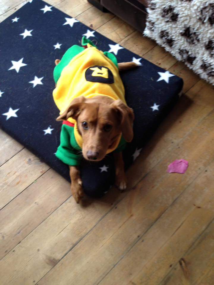 #batman#Robin sporting their new jumpers