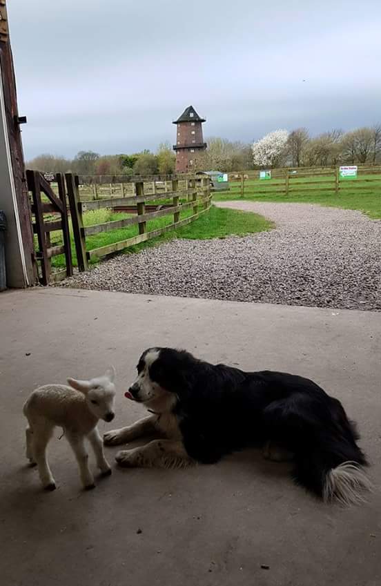 Who is joining us this week? #seftonhour