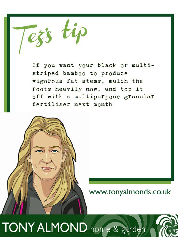 Check out the latest tip here from Tez from <a href="/tonyalmonds/">Tony Almond</a> in #Waterloo #tipsbytez #SeftonHour