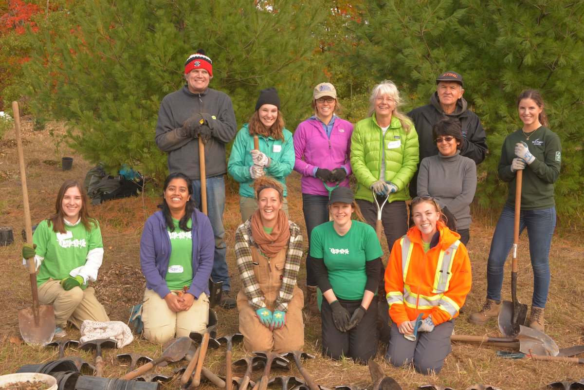 leaf's tweet photo. Join us THIS Sat &amp; get inspired to become an #urbanforest leader! Free workshop, register here https://t.co/AvJU1gHap0 #YRTrees #EAB #ALHB https://t.co/6rovXx2PIE