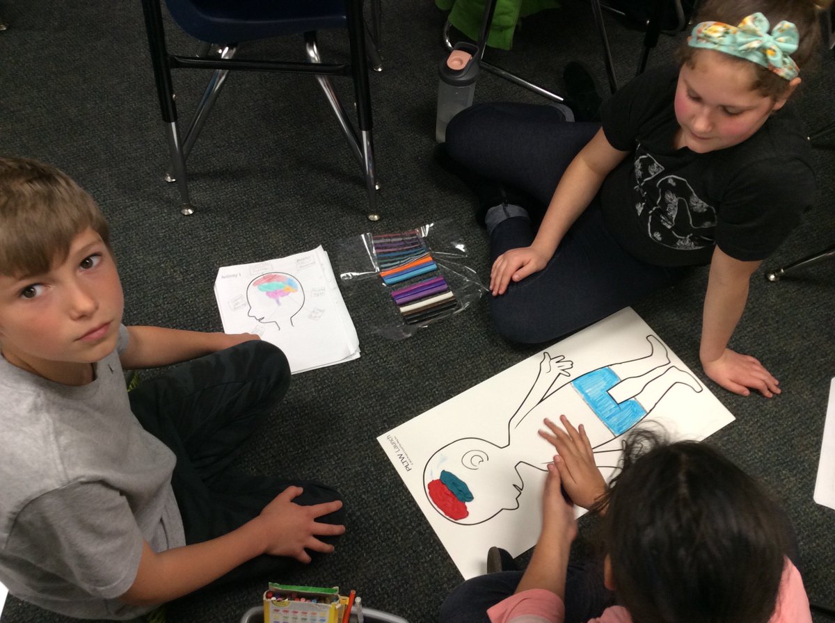 Making a model of the brain. How does the brain work?#handson #PLTW