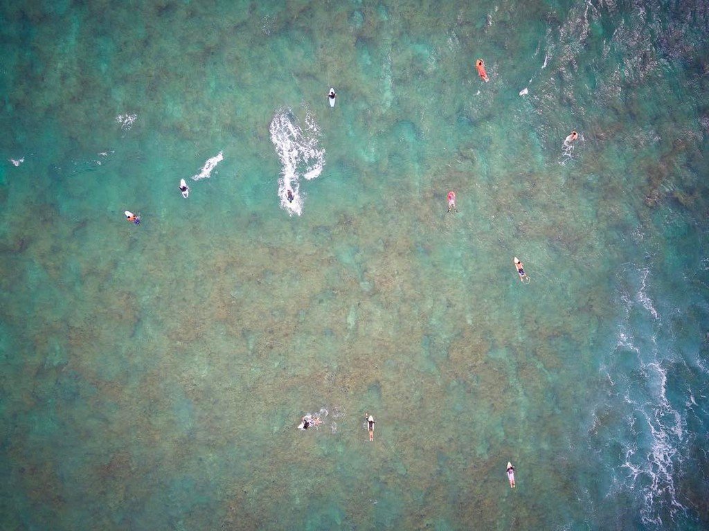 zero44zero's tweet photo. it’s a tough day when the ocean is your office.
#honolulu #oahu #hawaii #surfer
#luckywelivehawaii #hilife #lethaw… https://t.co/8RAE2ovdE3 https://t.co/hEOKieuxXn