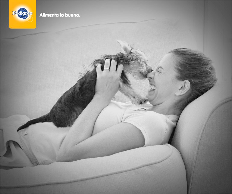 Para nosotros la felicidad comienza con una nariz y termina con una colita 🐶 Comparte si disfrutas de esta misma felicidad 😁#AlimentaLoBueno