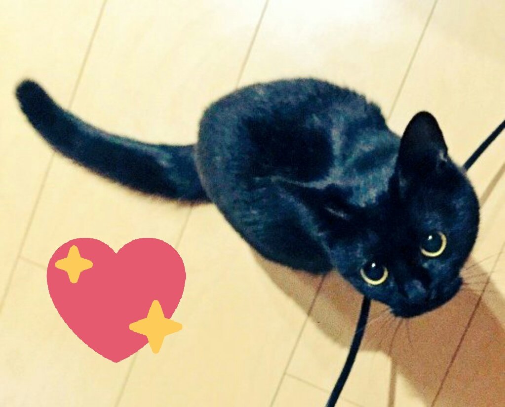 #loki #ilgattodellastrega