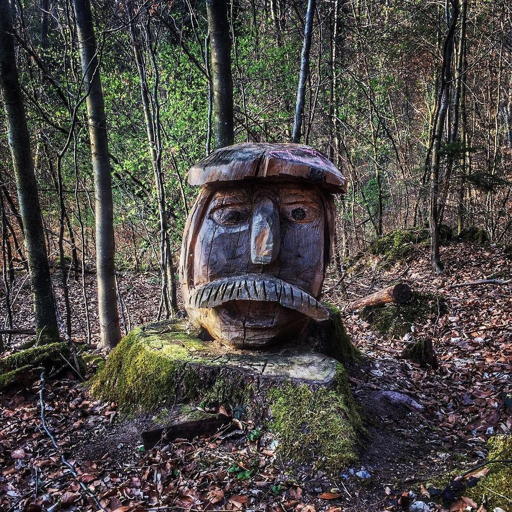 BushTimes's tweet photo. Found a guy buried up to his neck today 🗿✌️ #hiking #germany #springday #wanderlust #outdoors #bushtimes #bushcraf… https://t.co/PimDopdG5M https://t.co/t5nM8cDj61
