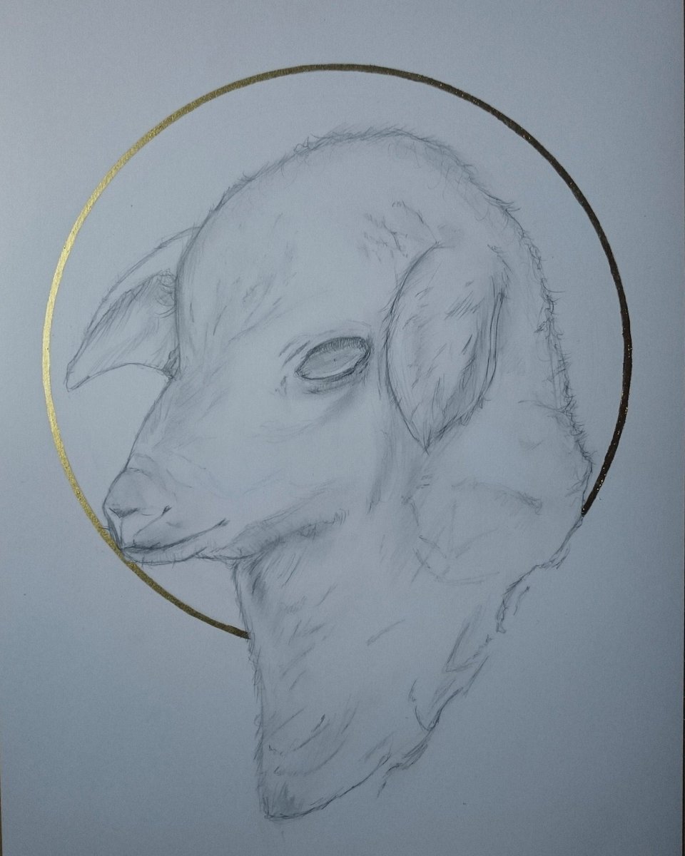 Sacrificial Lamb' with golden halo. Pencil and Ink. #God #religious  #sacrificiallamb #lamb #art #sketch #gold #Christian #animal #drawing, image size:960x1200