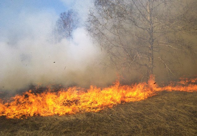 HarvardIchthus's tweet photo. Consuming Fire, with a Promise: "The Holy Spirit blazes away what's dead, so His work inside of us can be revealed"
https://t.co/fscVYTob44 https://t.co/B5P6yiIHSR