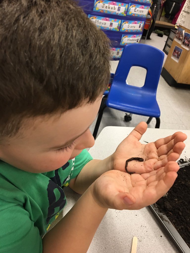 SPPSGrade1 tweet media